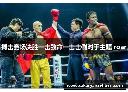 搏击赛场决胜一击致命一击击倒对手主题 roar